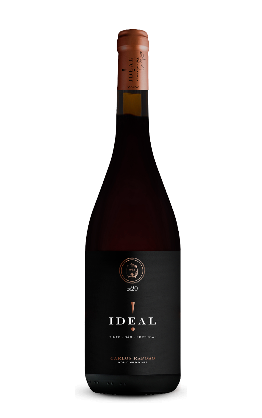 Ideal Tinto 2022