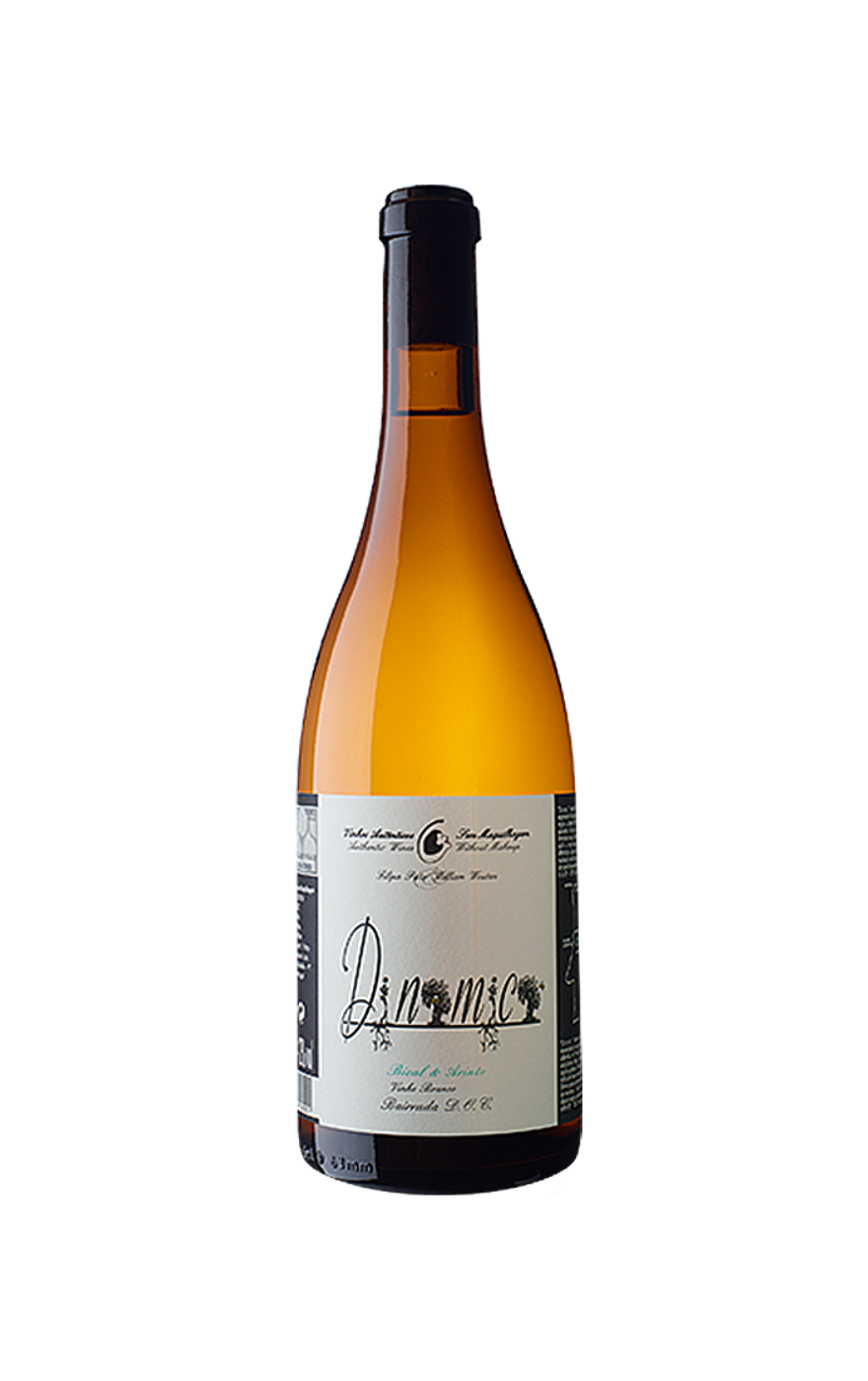 Vinho Filipa Pato Nossa Dinâmica Branco Bairrada