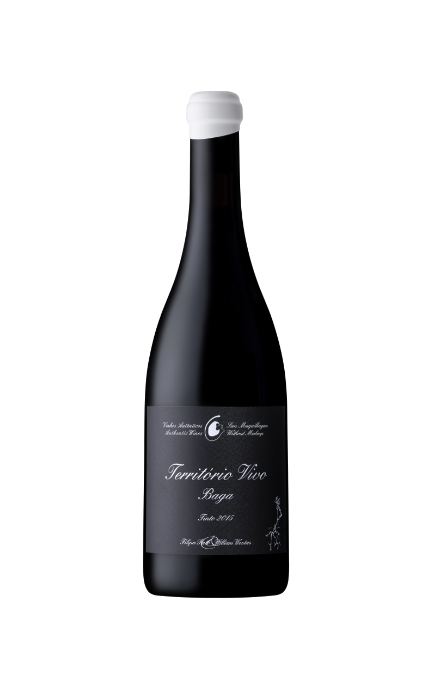 Vinho Filipa Pato Território Vivo Baga Tinto