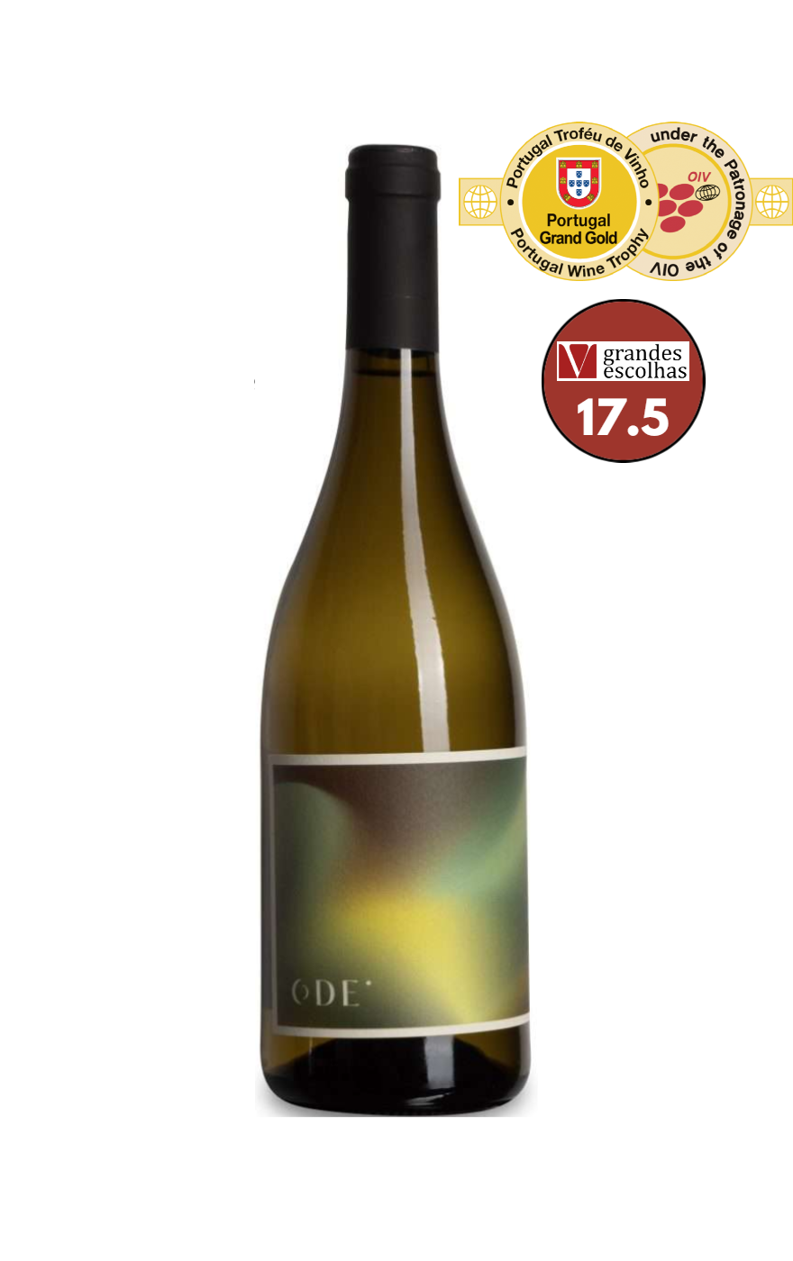 ODE Winery Semillon Branco Tejo 2023