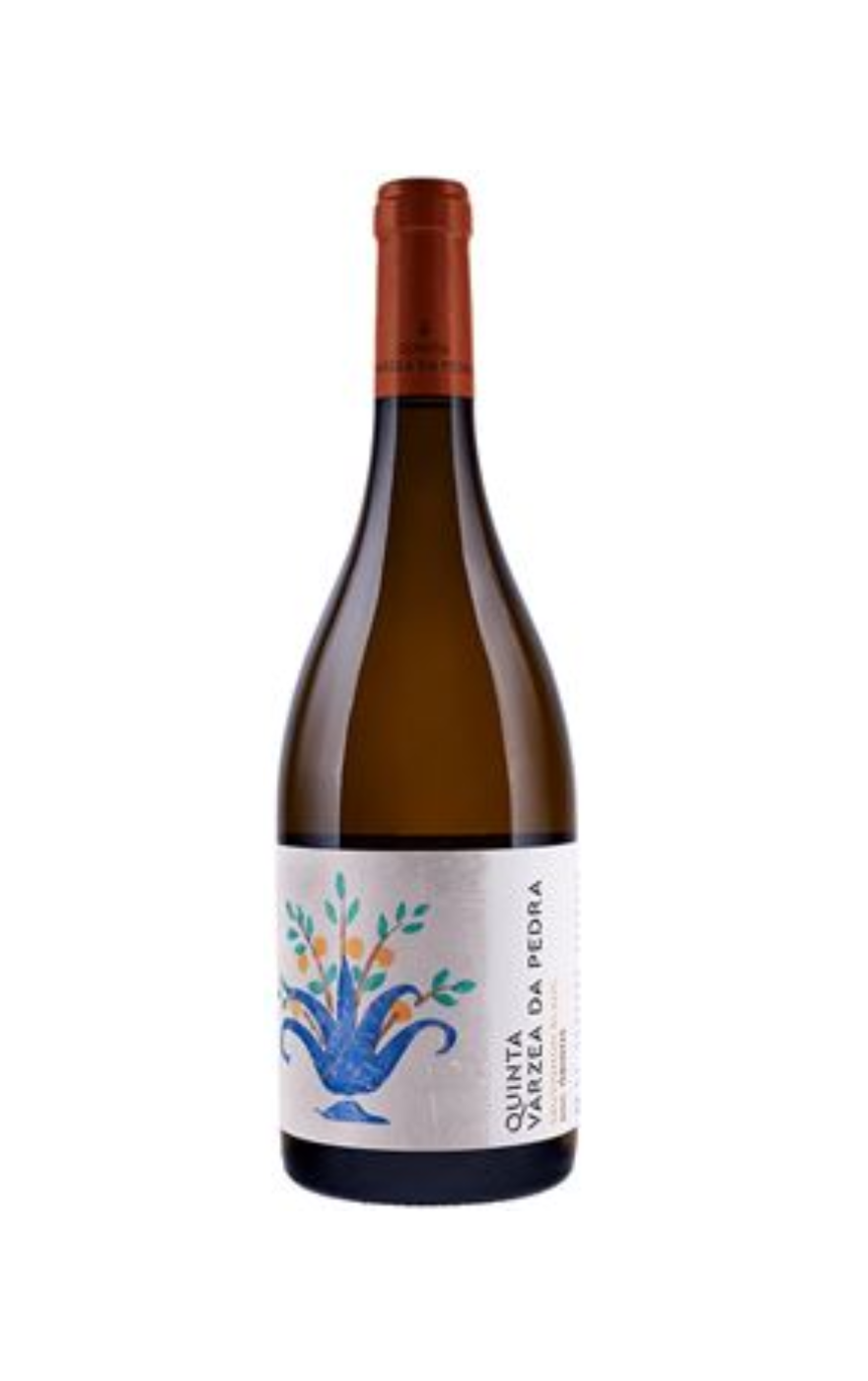 Várzea da Pedra Sauvignon Blanc Branco Lisboa